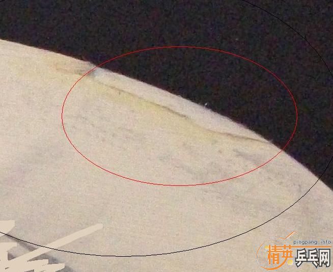 ��һֻ���µý����!������ͻ��,����ʥ��!������һͼ!