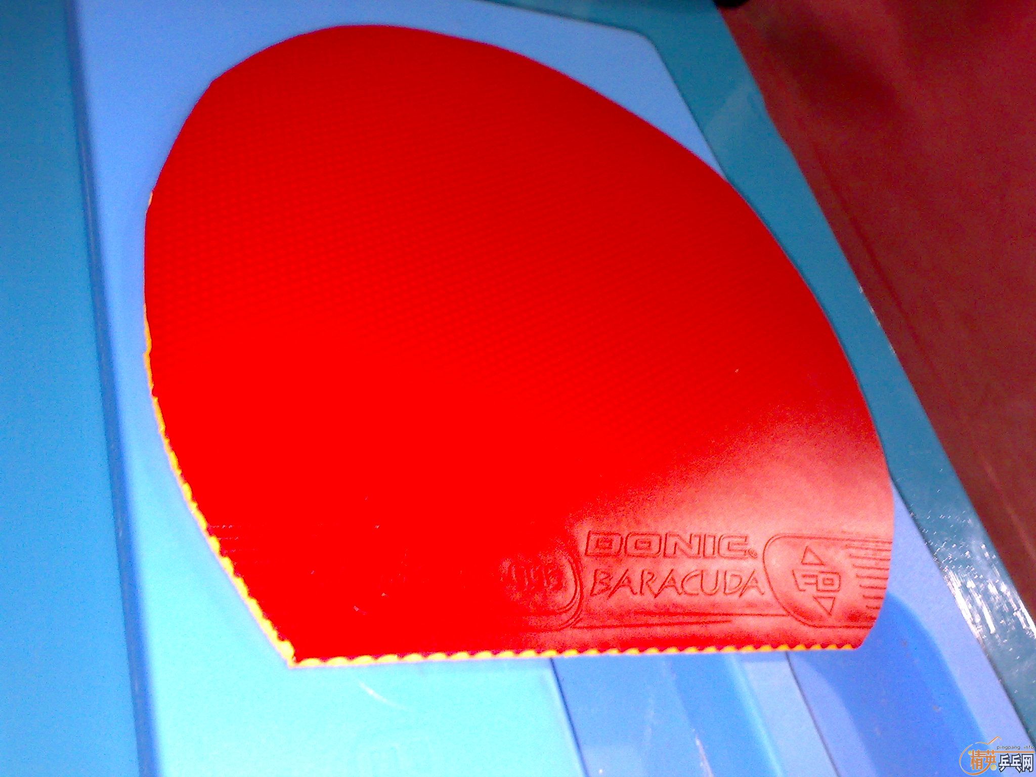 DONIC BARCAUCDA 9.9�� 130����