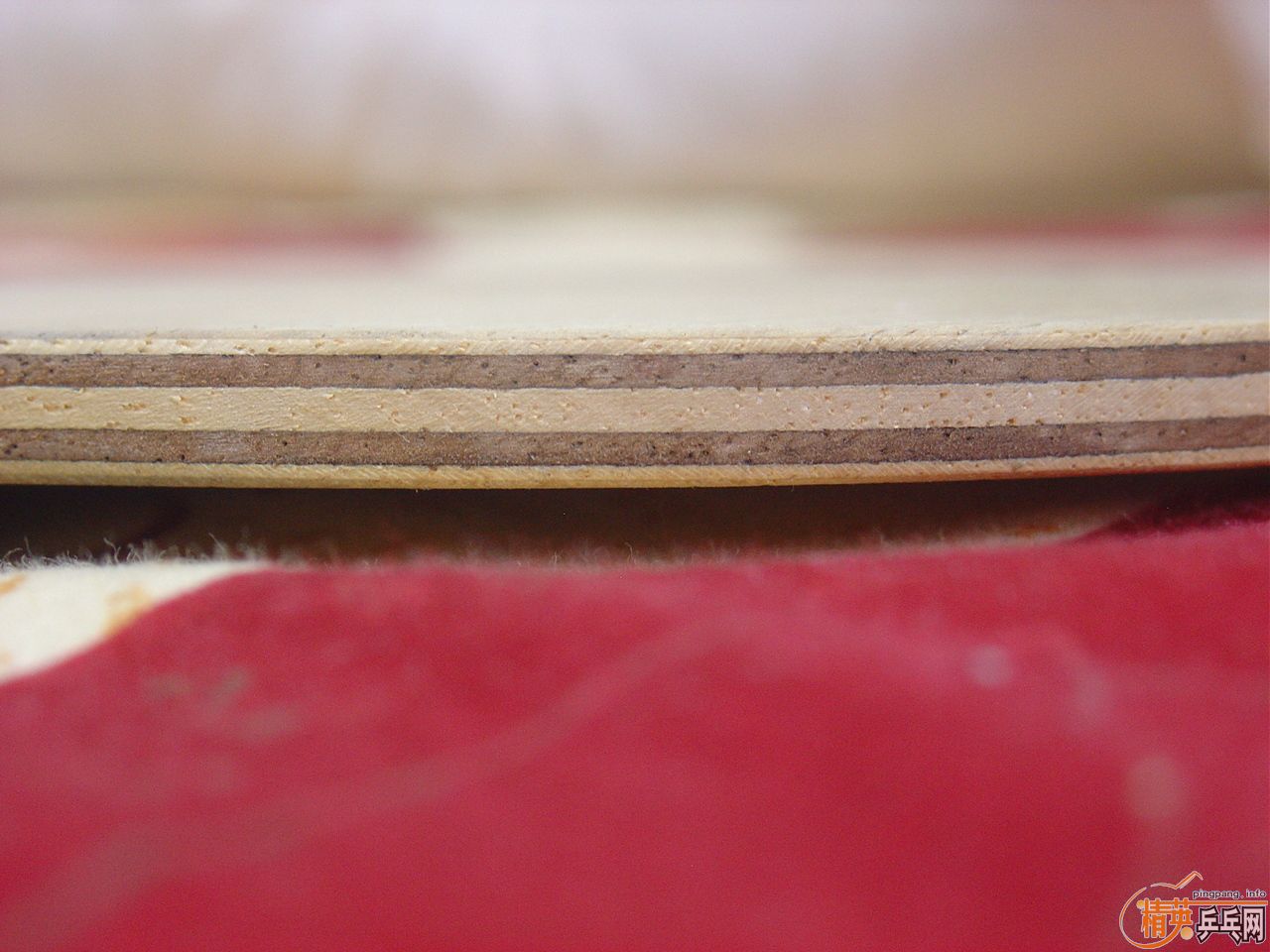 [�װ�]����FL������׼����90�ˣ�520�����