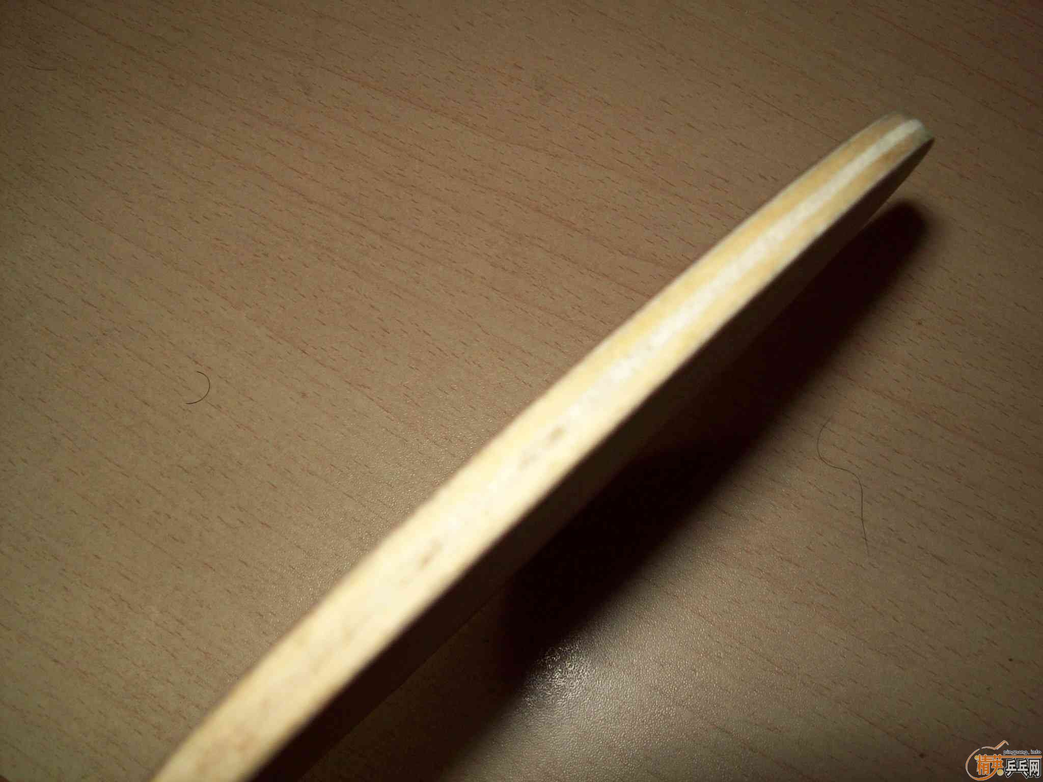 ���������� ��VIS ��ǡŵ���stiga S 3000 ����֧����