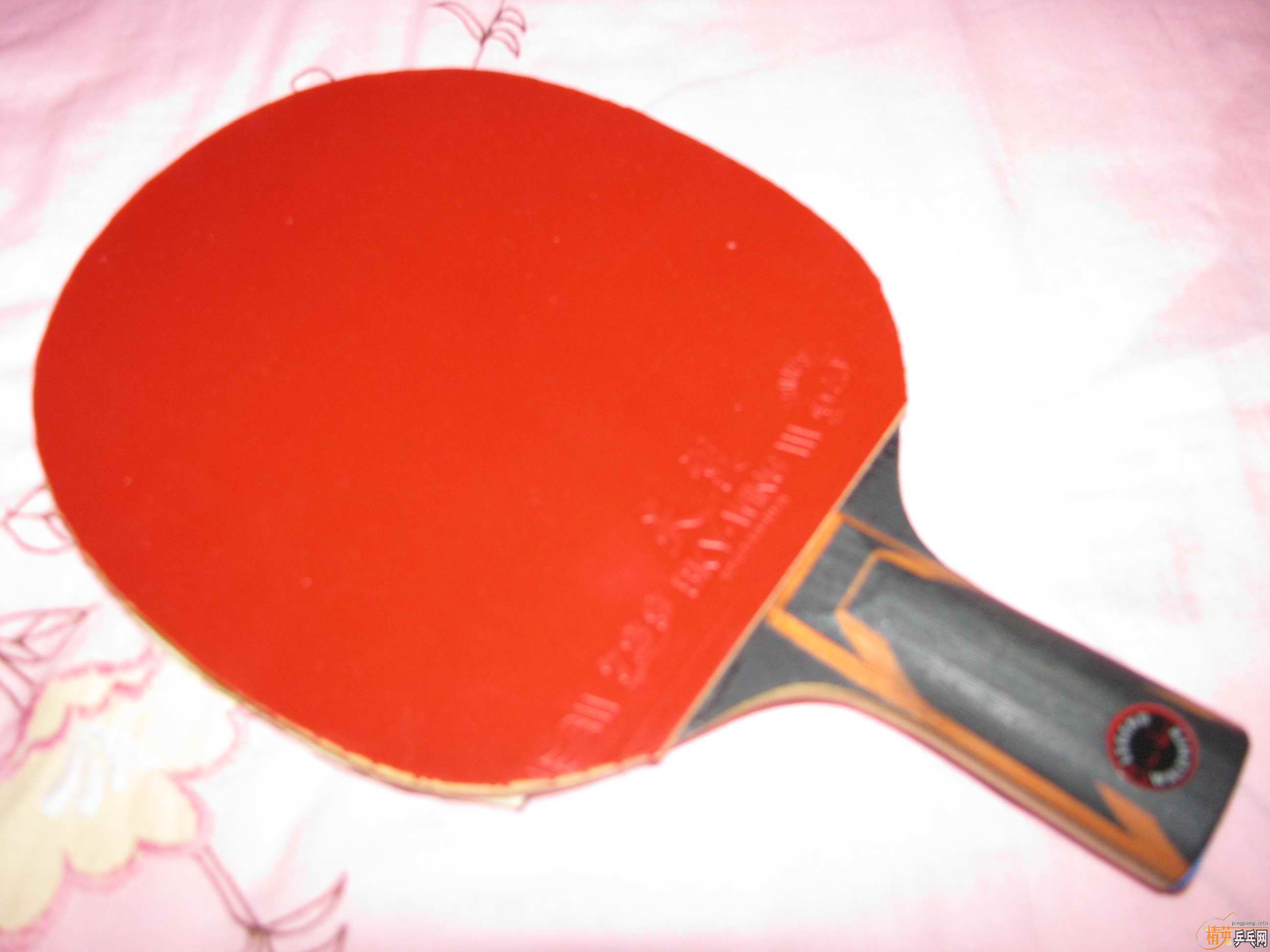 ����˺�ɫ����+729-2+������ֻ��������