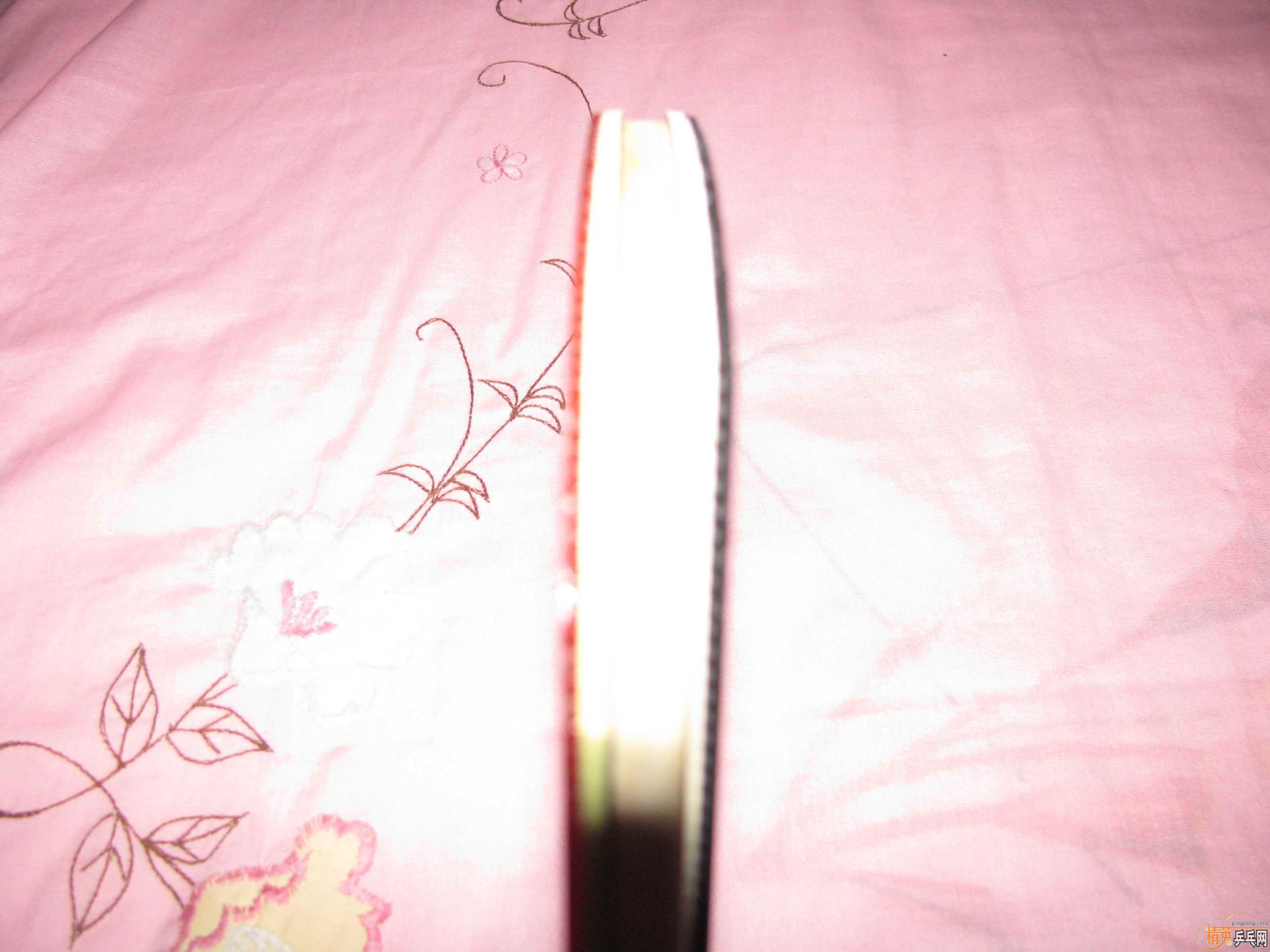 ����˺�ɫ����+729-2+������ֻ��������