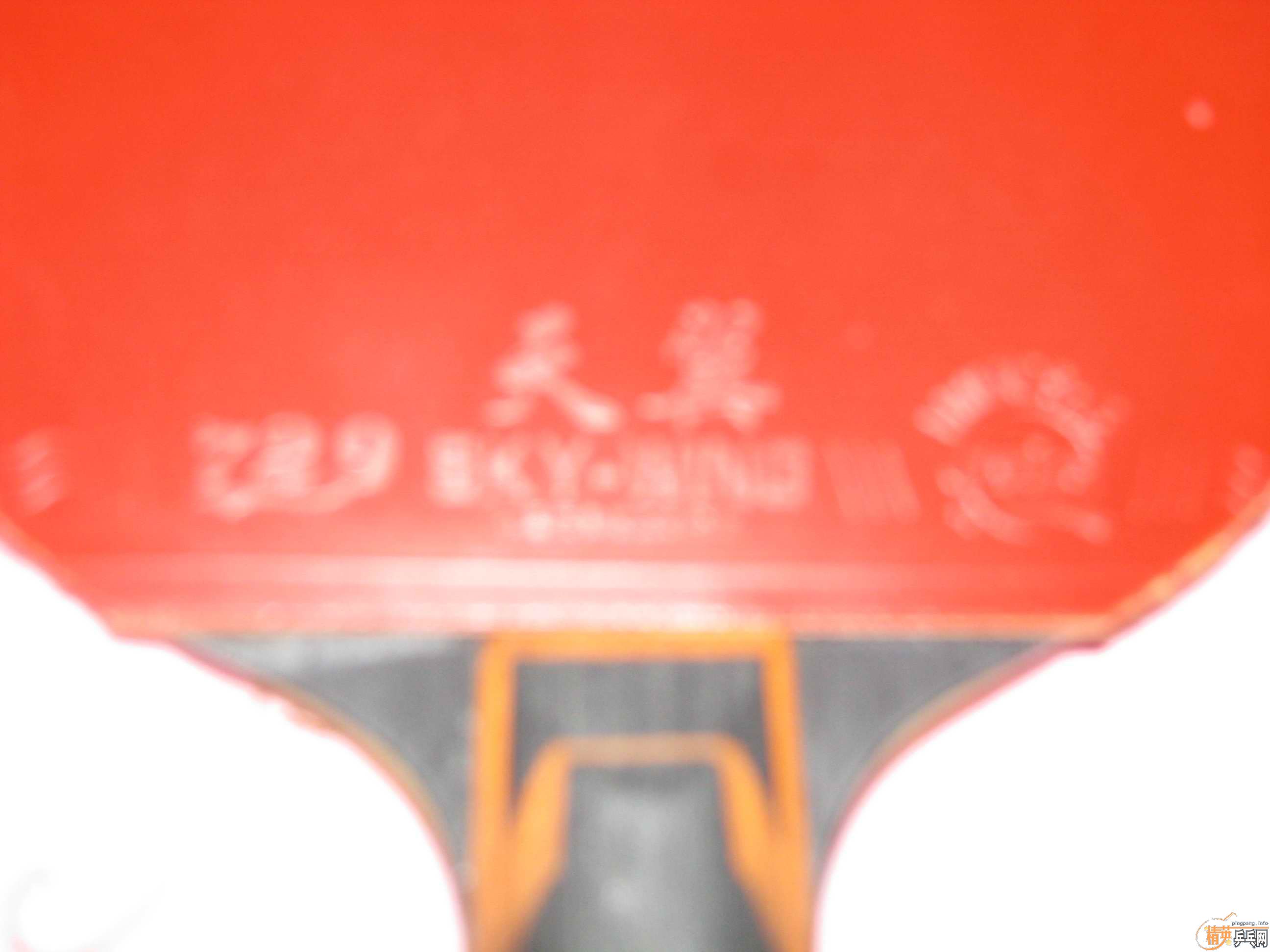 ����˺�ɫ����+729-2+������ֻ��������