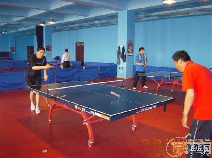 ��Ӣ�����ൺƹ�Ѿ��ֲ����·ݵ�һ��������ʵ