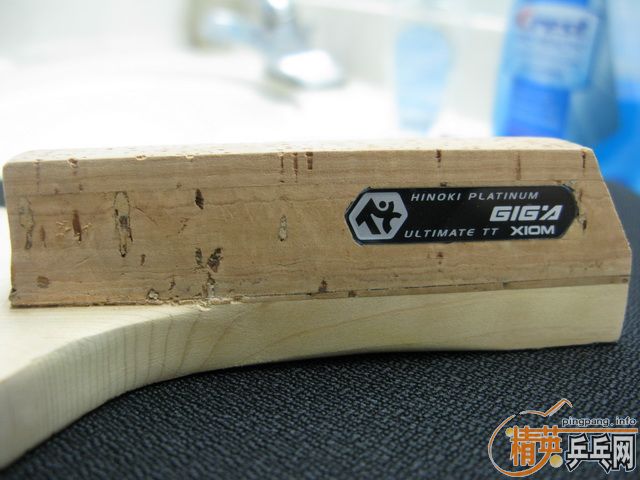 �ٳ�һ֧��ֱ: �غ�Xiom GIGA Platinum (��׽�)