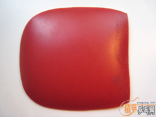 ��10������ֱ���潺Ƥ ���׹��׶��� ֧��������