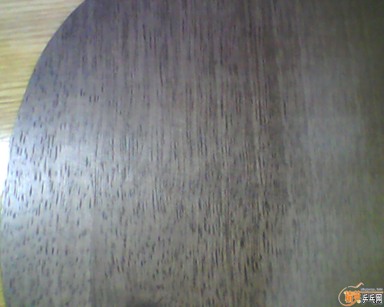 ���׽����еװ塣��      ���̼��7.6   P555  F1 HK1997                    ���˳��ˣ�