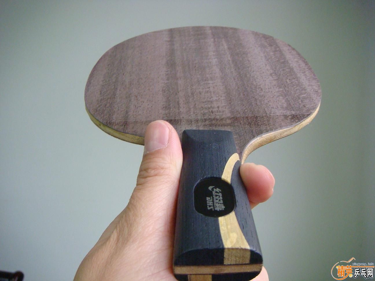 ��֧��������XX��������һ�ε�EL��85��Bryce