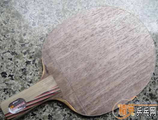 ��֧��������ŷ��ʵ����5.4��78g,300���ʡ������ϲ���һ�顣