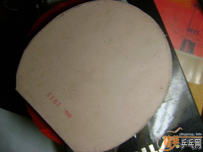 110����ݳ����������ᰢ����