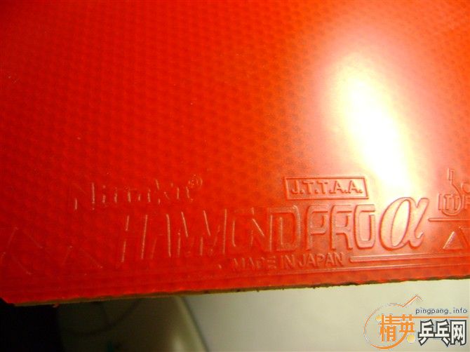 110����ݳ����������ᰢ����