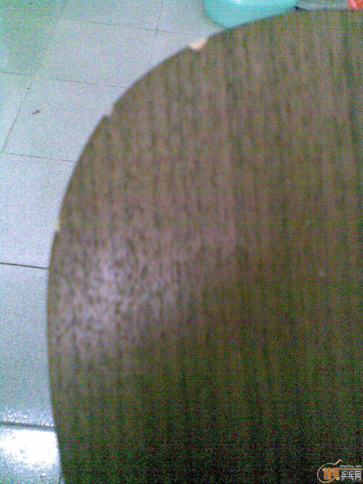 �հ�YEO��С�����棬���߻�ti5.4!ֻ��������