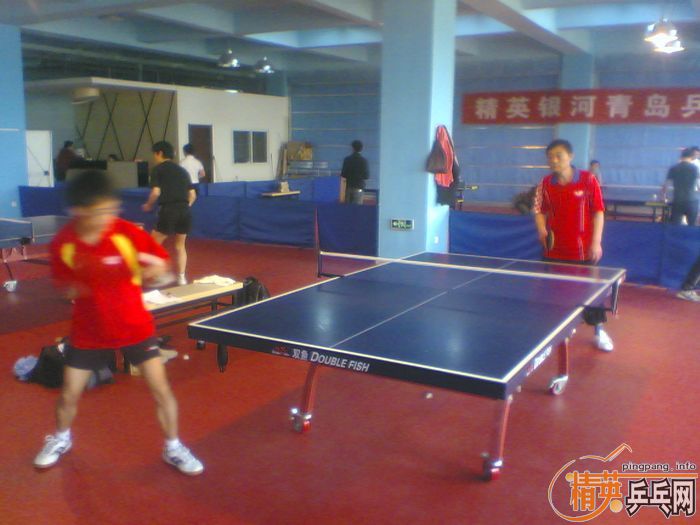 ��Ӣ�����ൺƹ�Ѿ��ֲ����·ݵ�һ��������ʵ