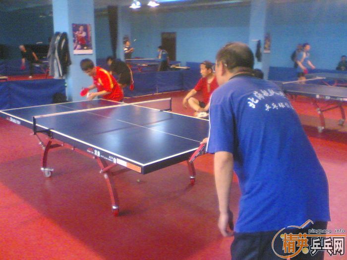 ��Ӣ�����ൺƹ�Ѿ��ֲ����·ݵ�һ��������ʵ