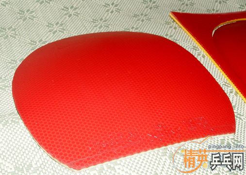 ����z   729-8ʡ�� Ѹ��