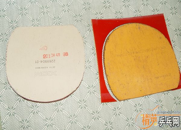 ����z   729-8ʡ�� Ѹ��