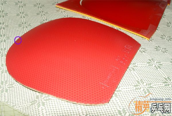 ����z   729-8ʡ�� Ѹ��