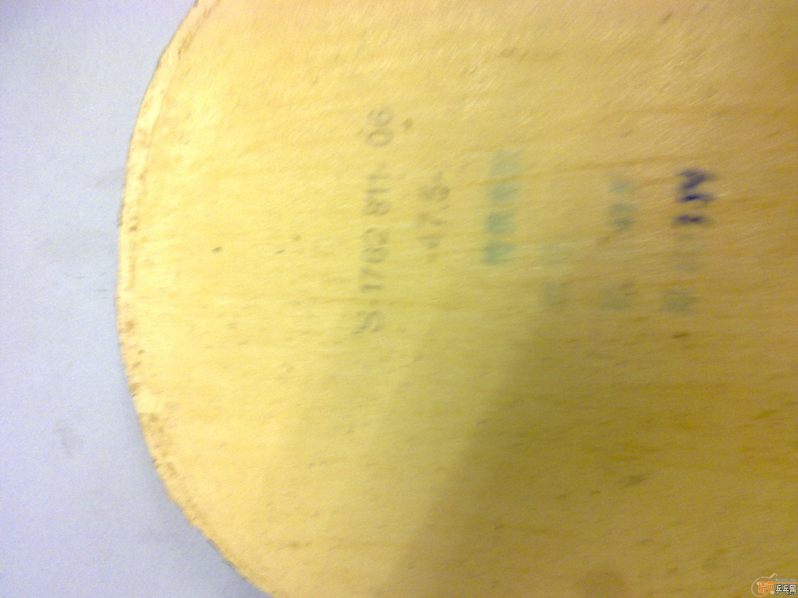 ������ϣ�����Ƥ