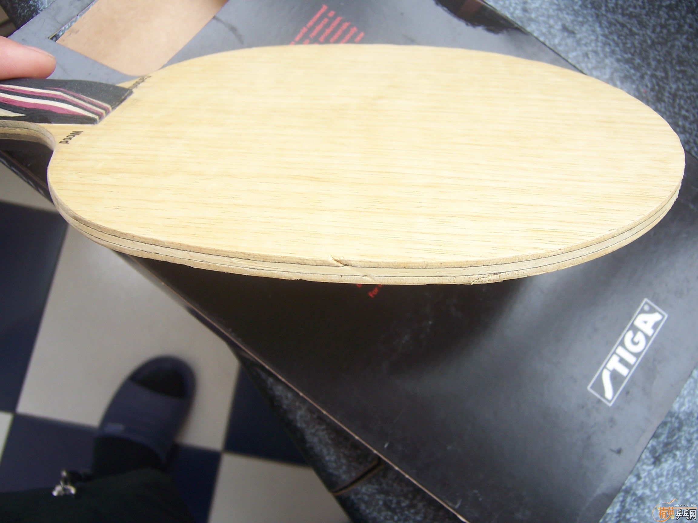 ����ɫ���µ�EG����˹