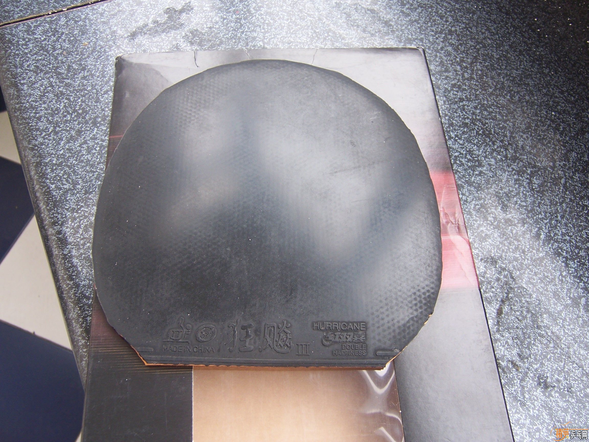 ����ɫ���µ�EG����˹