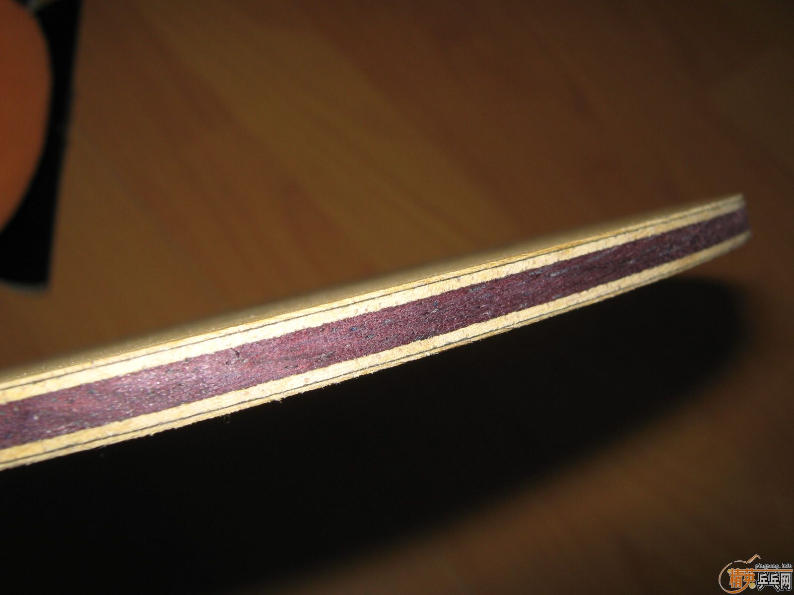 stigaV1̼켫729