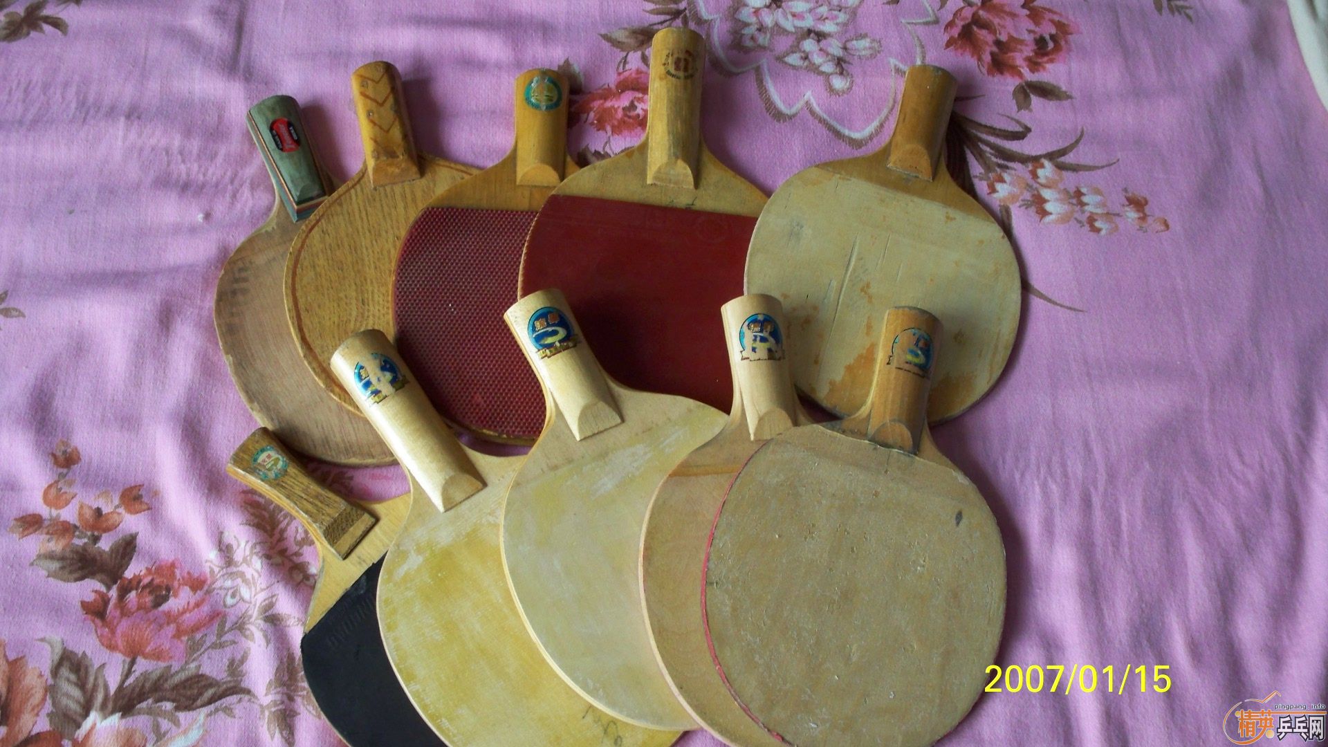 ���ֱ����̱��6���ϰ���[70Ԫ/֧������������1֧]