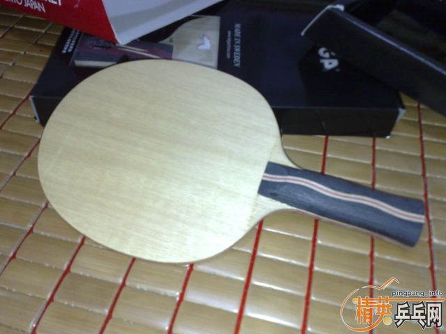 9�����Ͻ��߽���VIVA-AN��300���ʣ�