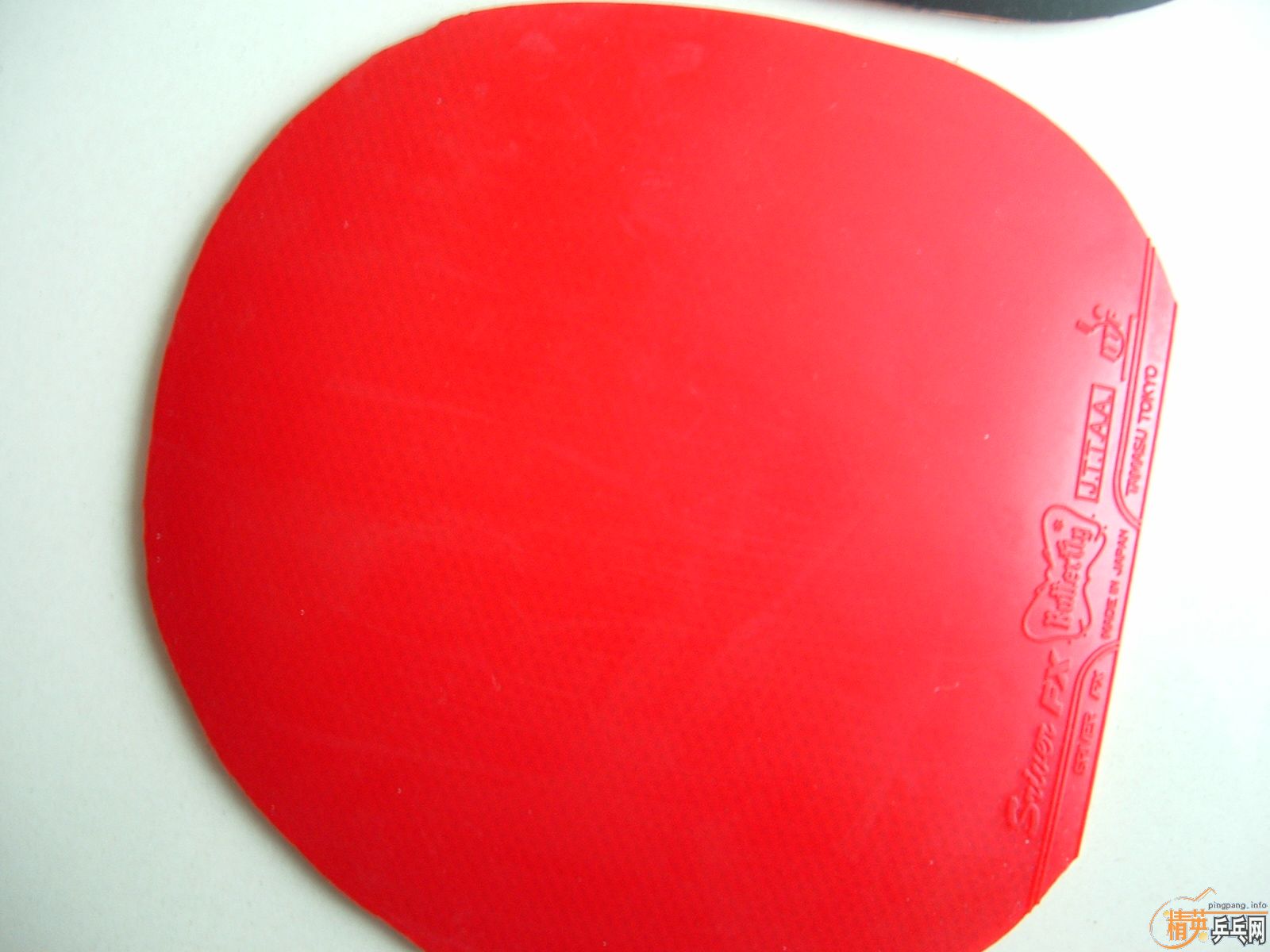 �����ѻ��׽� ��һ�δ���10���ӵ�˹���ֻ����ɵ�