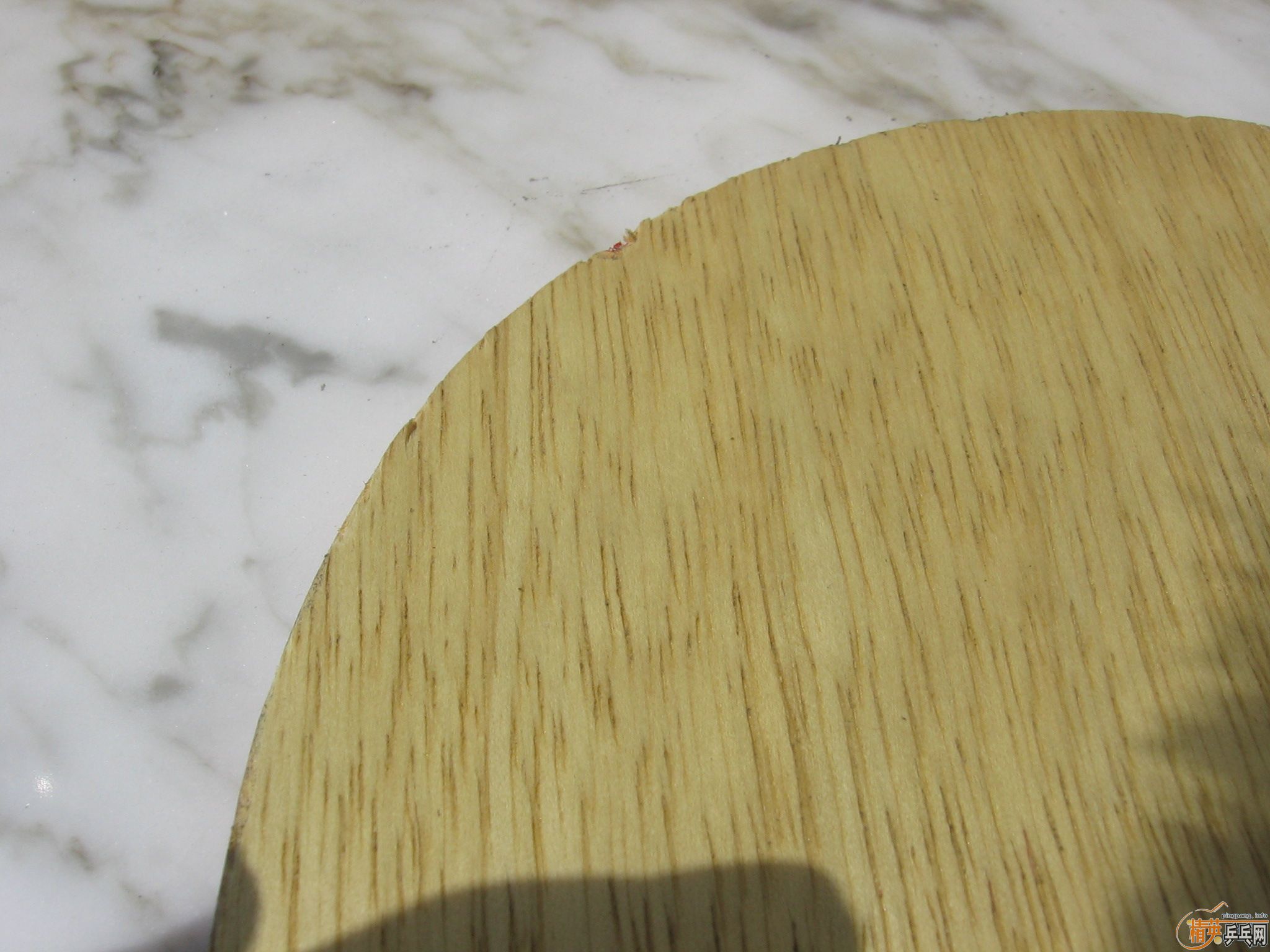 ���л��Ʊ�CL-WEB