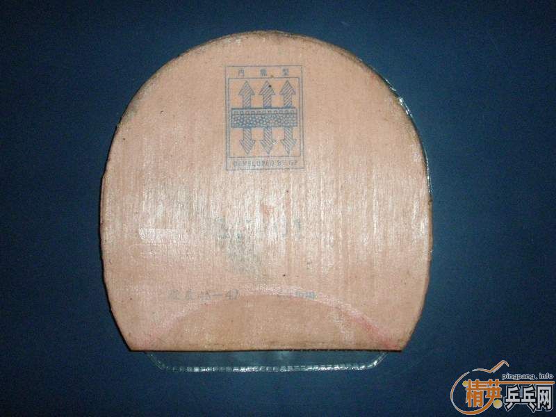 ���Ź����׽���������½�������С���