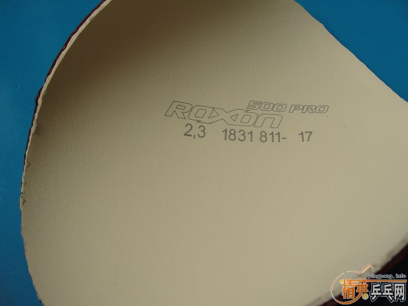 andro P500