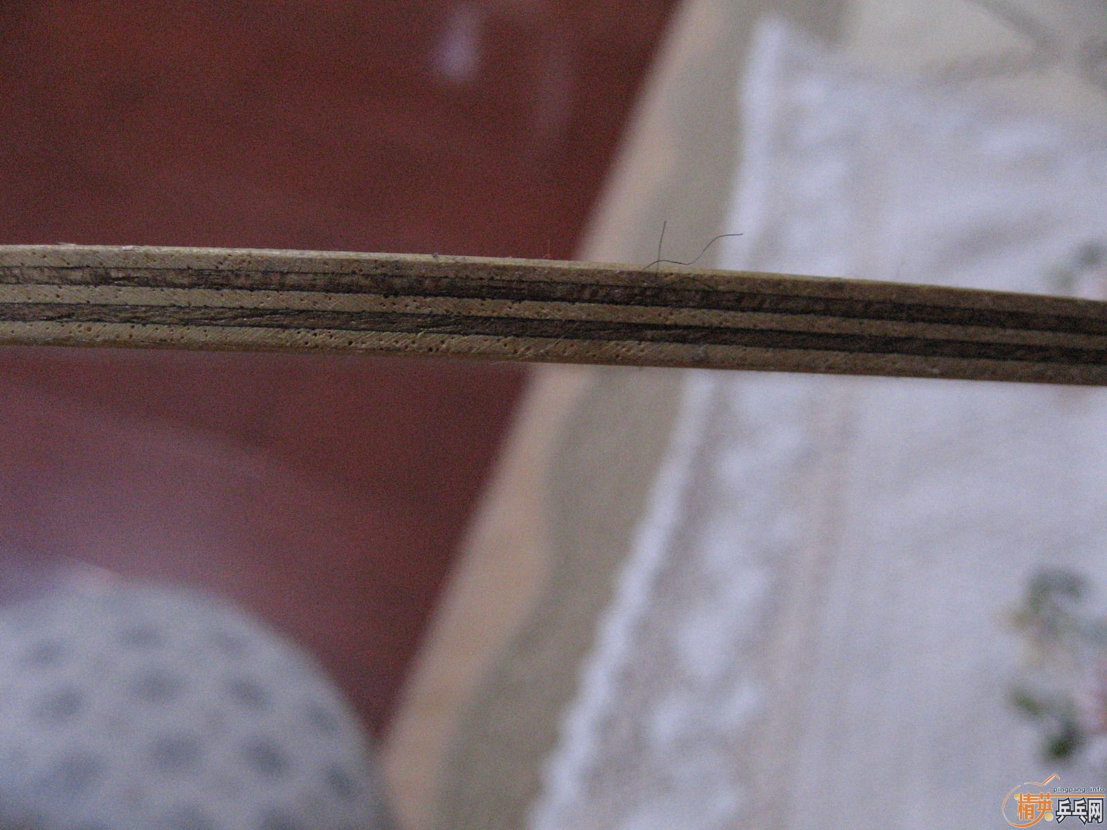 ��󱦵س��������ӣ�������С�����µ³���Z������ɳ�����˫ϲwind,����ϸͼ