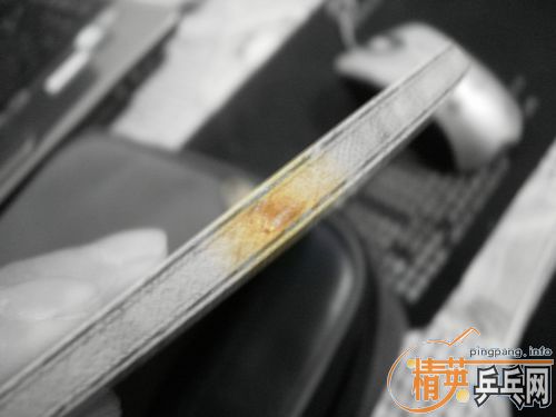 ��boll spirit FL