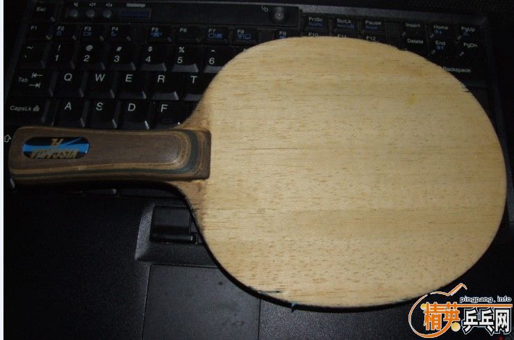 ���ۣ���ת�������������vis 300Ԫ����