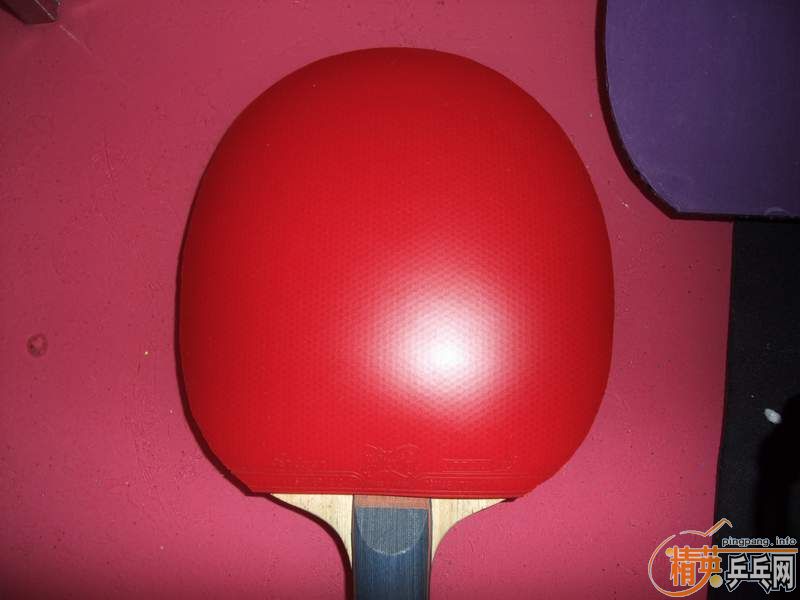 ����ո�µ��׽����Ϻ��ຣ��ͺ���˹���֣�