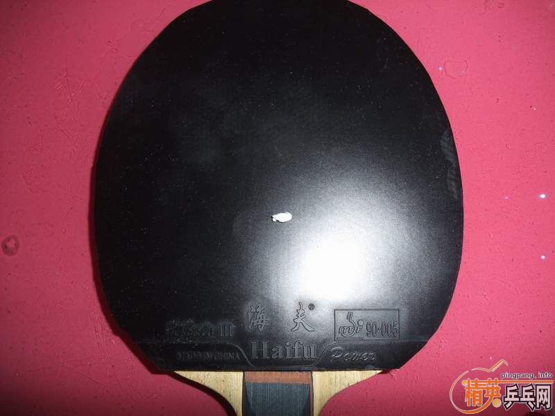 ����ո�µ��׽����Ϻ��ຣ��ͺ���˹���֣�