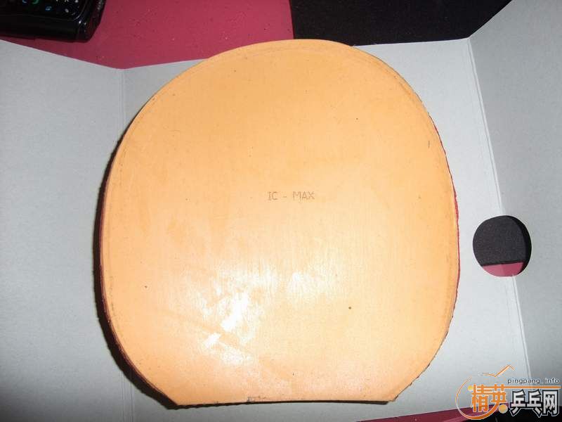 ����ո�µ��׽����Ϻ��ຣ��ͺ���˹���֣�