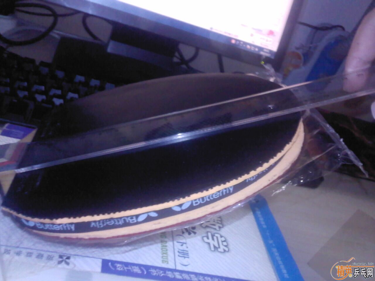 �����������39�����