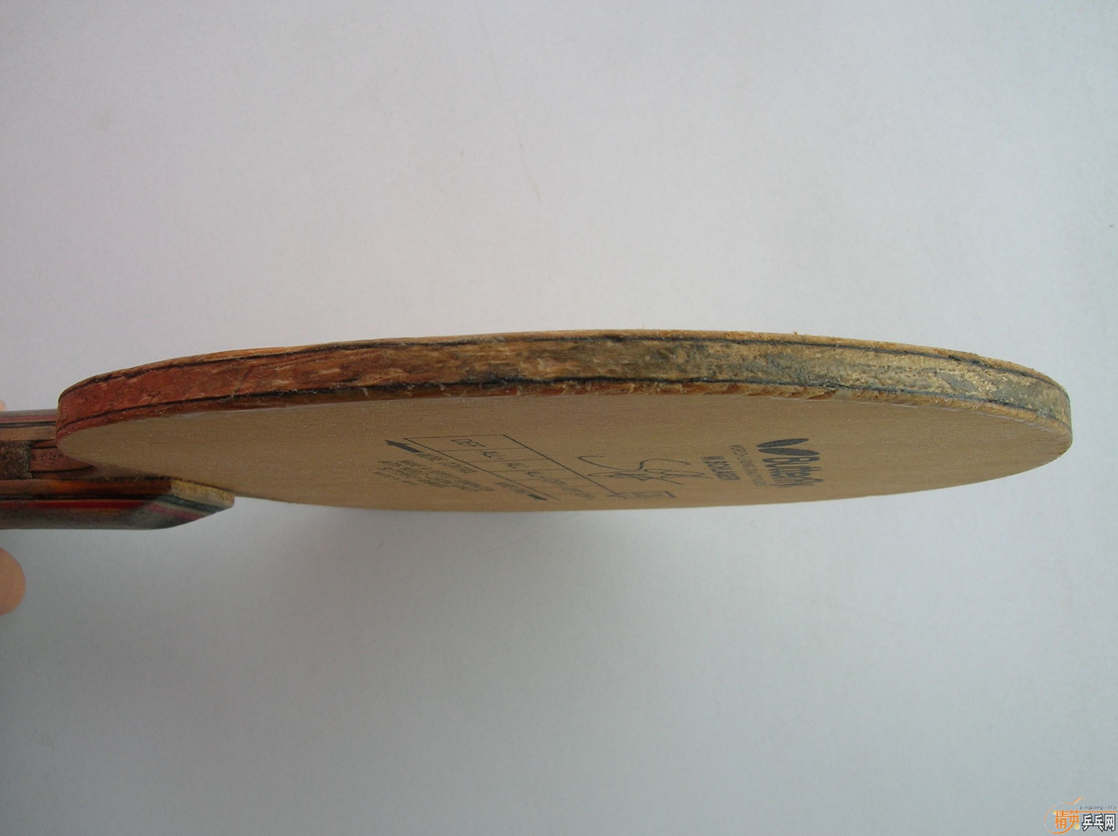 [����]֧�������ϰ�ʩ̼