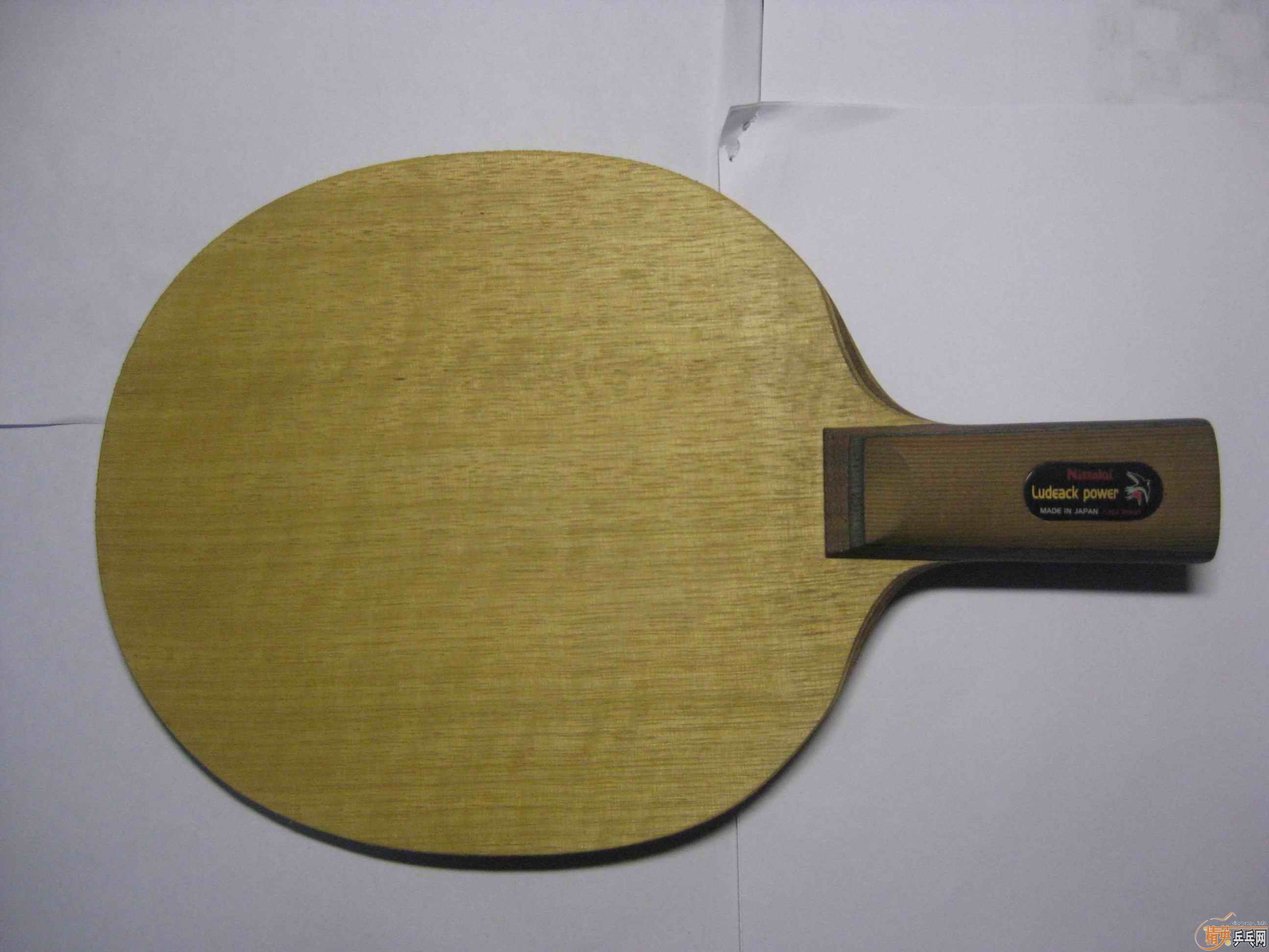 nittaku���ִ���600���ʣ�����