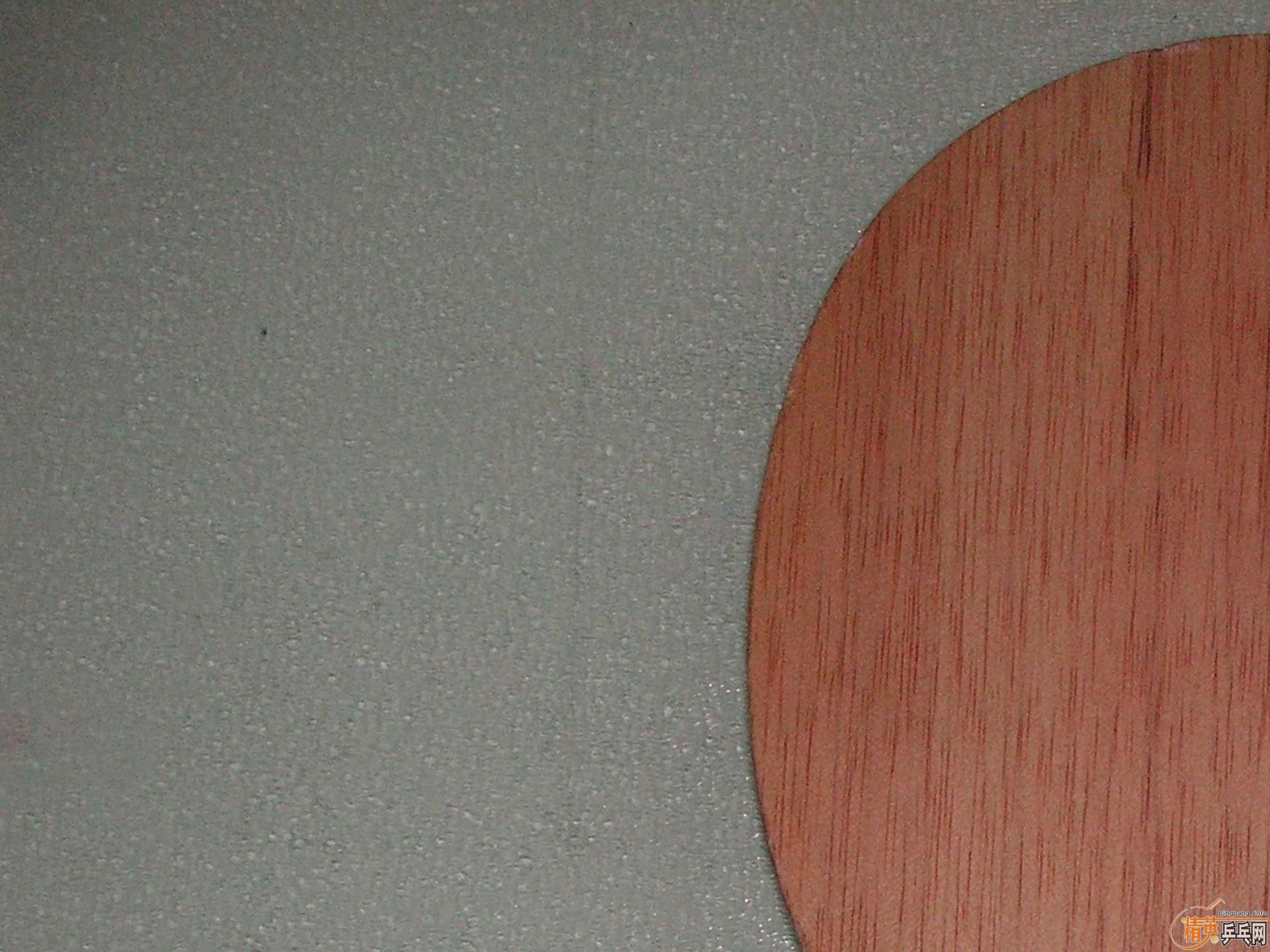 �������µ�305D