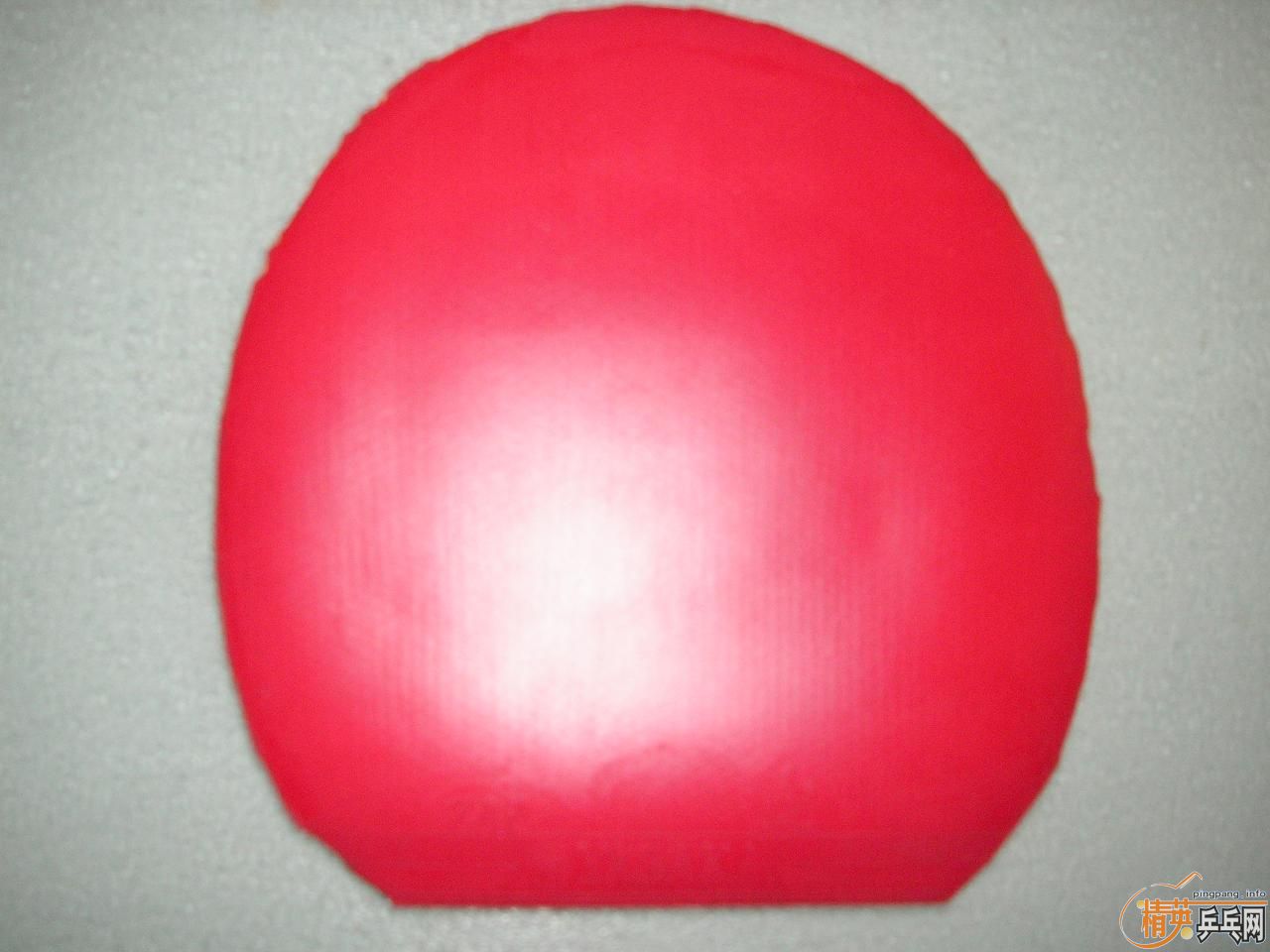 �������µ�305D  ͦ�� ��ķ ������