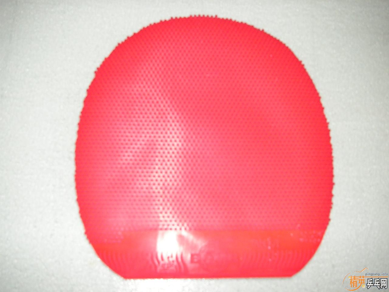 �������µ�305D  ͦ�� ��ķ ������