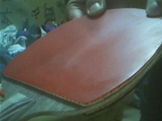 ������ֱ���õ�DONIC��Ƥ