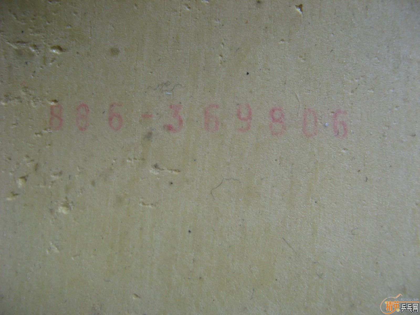 ׽ʡأС728-8
