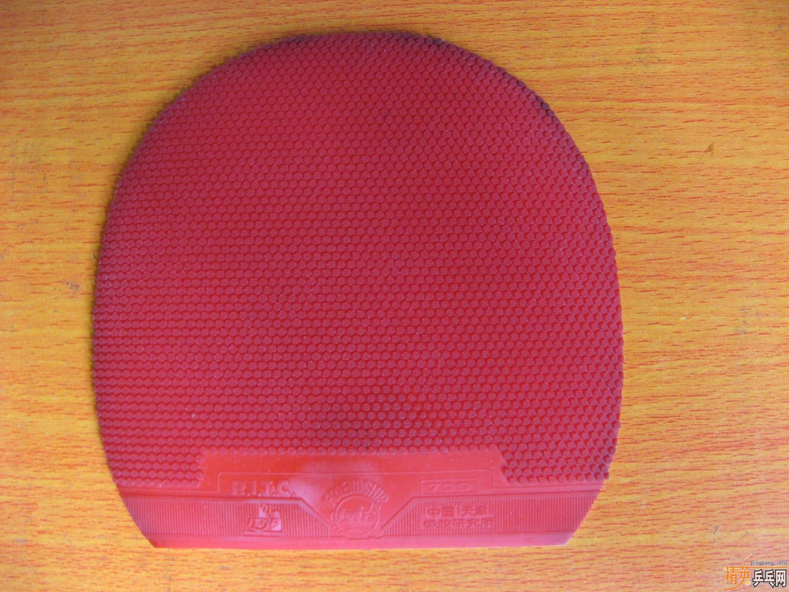 ׽ʡأС728-8