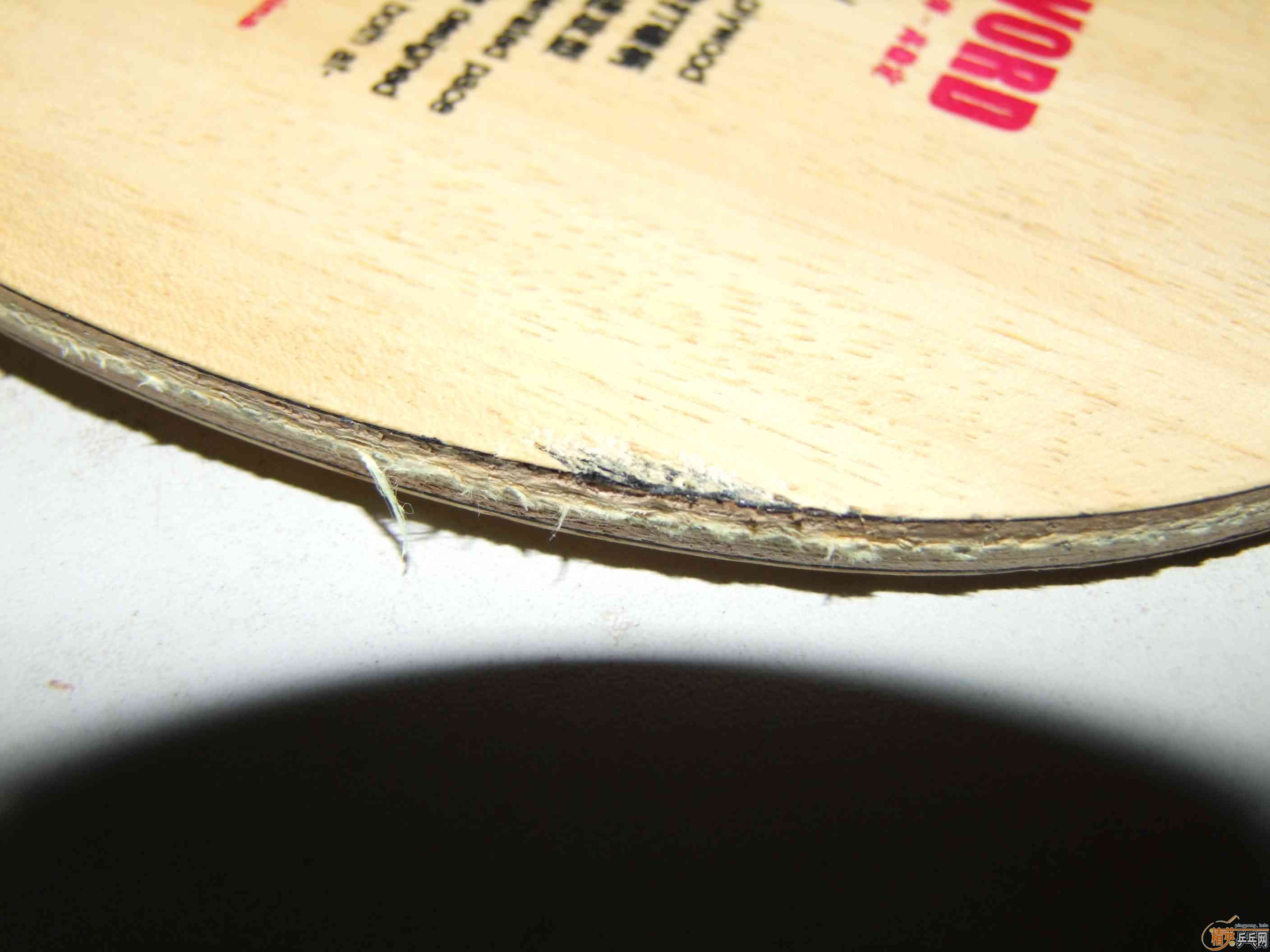 [����]�����µý�����2001