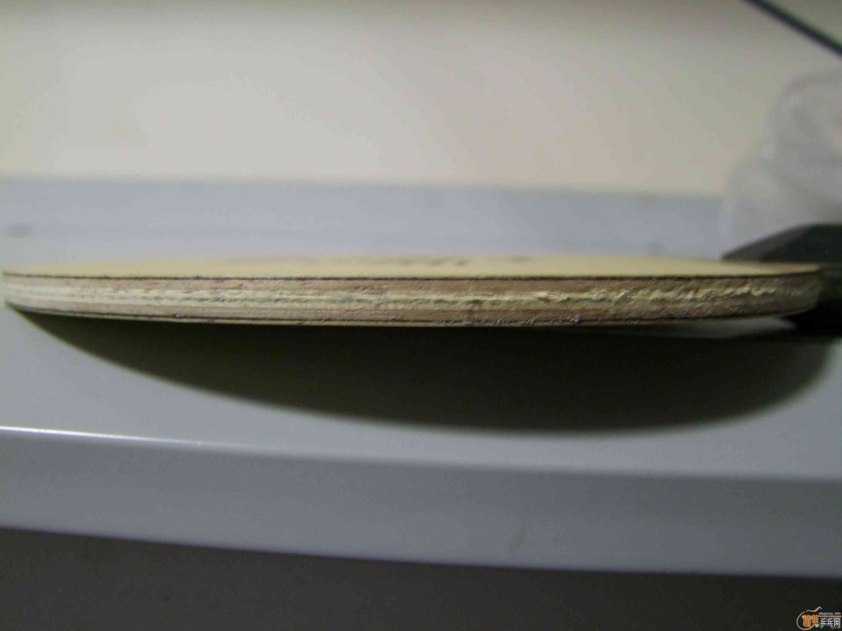 [����]�����µý�����2001