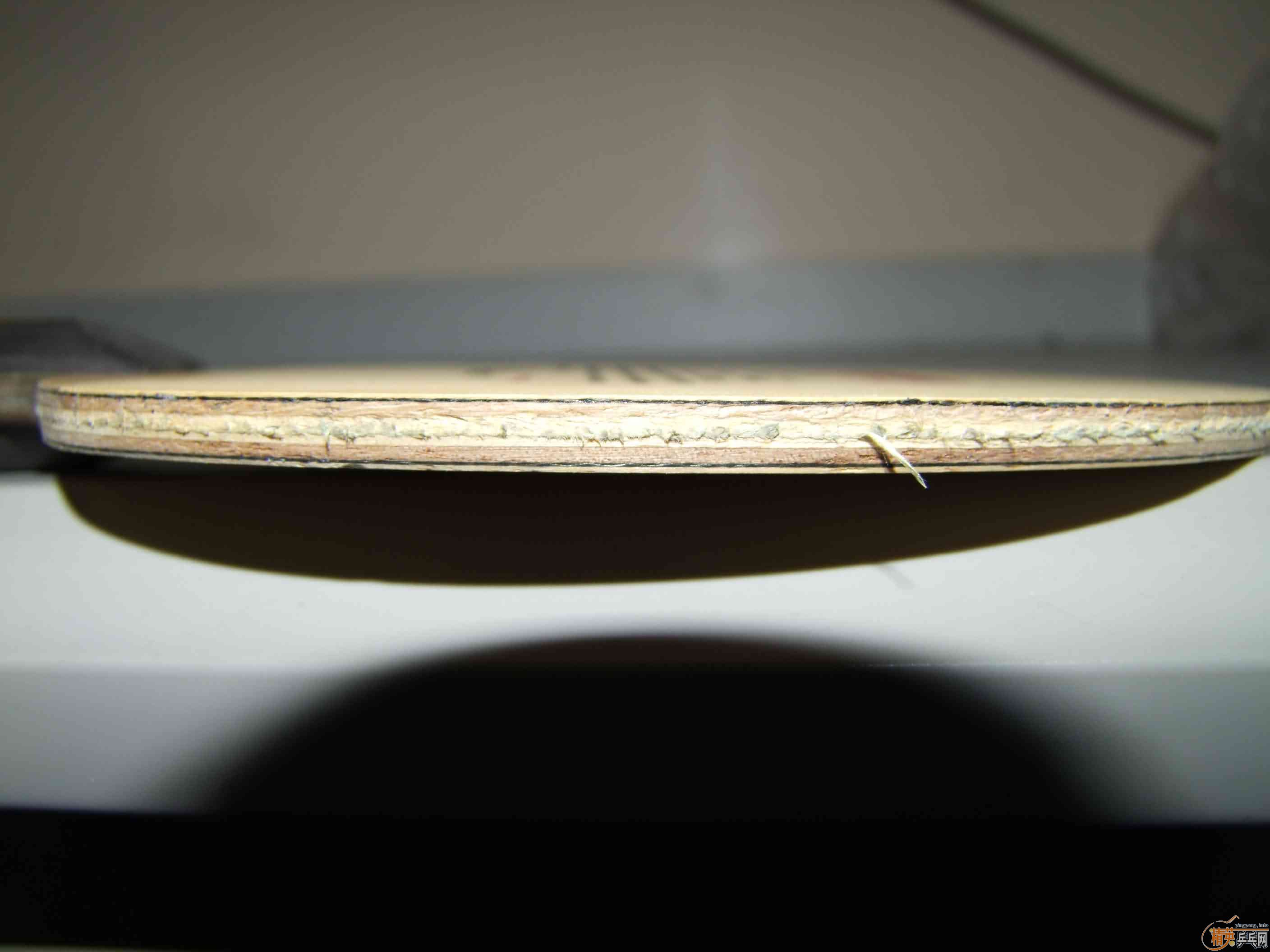 [����]�����µý�����2001