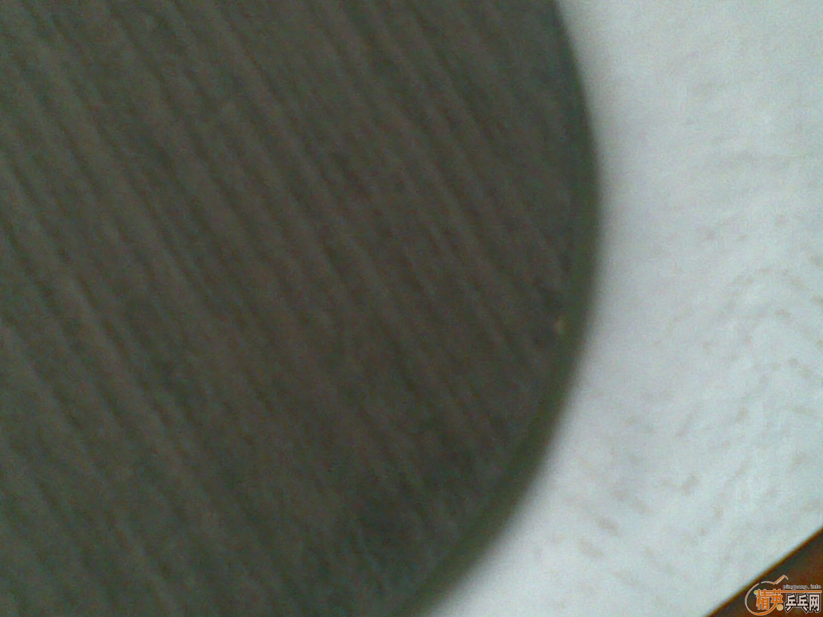 ��������MC-2һ�ף������ã��������729����9.5�£�100Ԫ�����ʣ�֧��֧����������һ��FL����EG��OC��